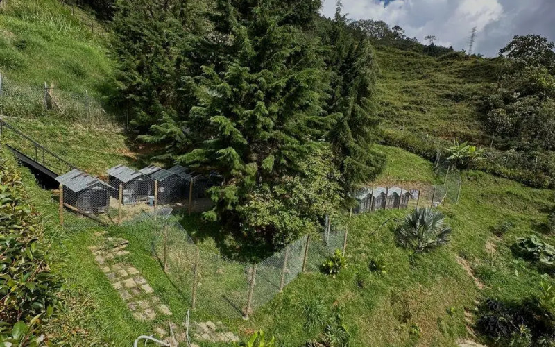 Casa en Sabaneta en Las Lomitas