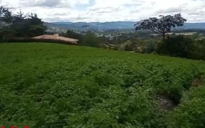 Lote Residencial en El Carmen en V. El Cerro