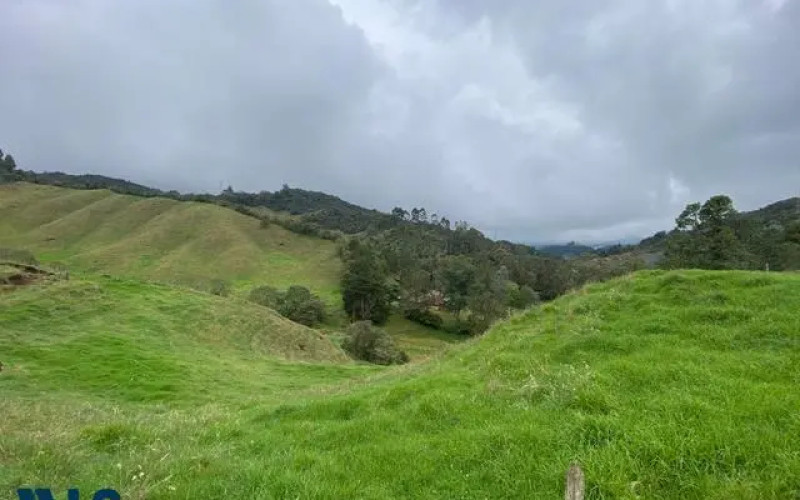 Lote Residencial en La Ceja en Pantanillo