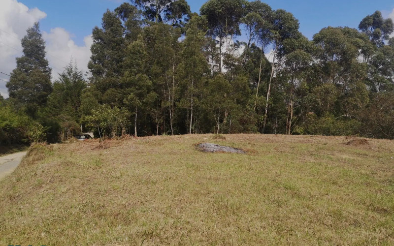 Lote Residencial en Rionegro en V Los Pinos