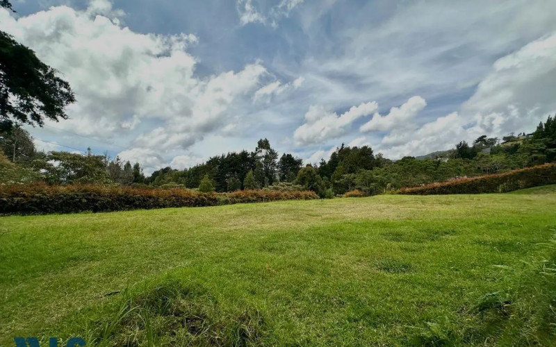 Lote Residencial en Envigado en Alto de las Palmas