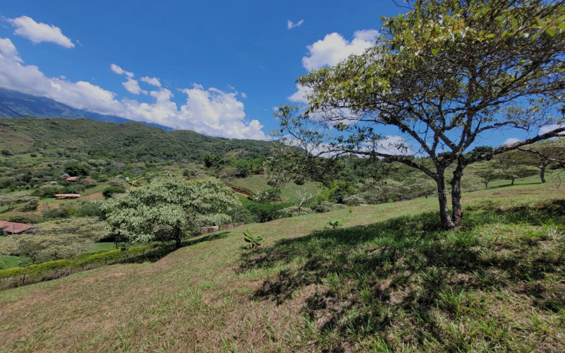 Lote Residencial en San Jerónimo en V. Loma Hermosa