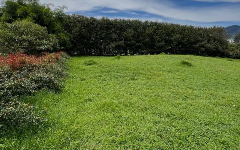 Lote Residencial en La Ceja en Corredor San Antonio - La Ceja (La Ceja)