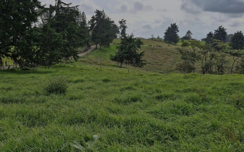 Lote Residencial en Rionegro en Aeropuerto