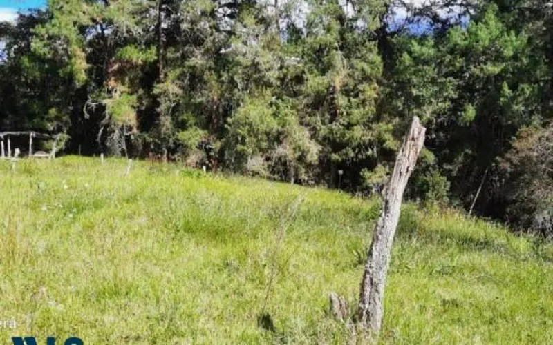 Finca Recreativa en Envigado en V. Pantanillo (envigado)