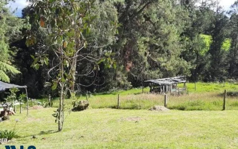 Finca Recreativa en Envigado en V. Pantanillo (envigado)