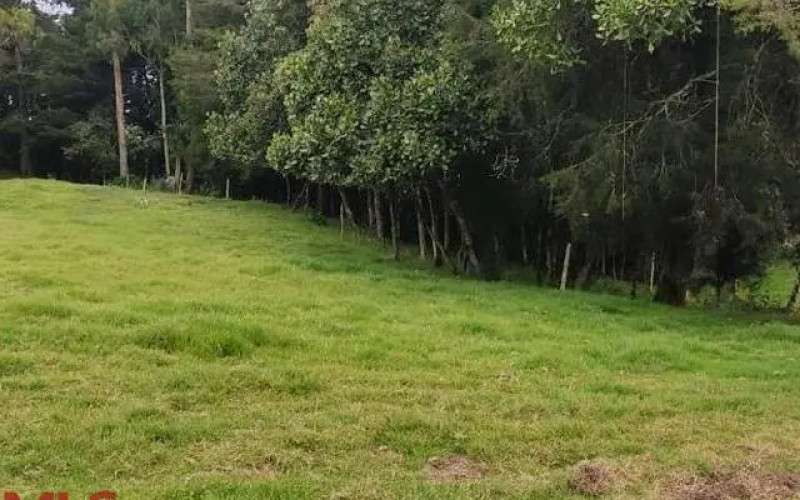 Lote Residencial en Santa Elena en Rural