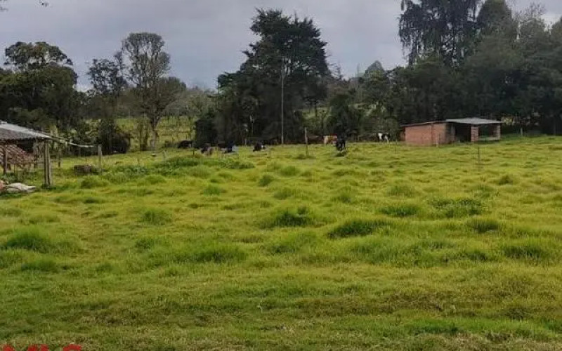 Lote Residencial en Santa Elena en Rural