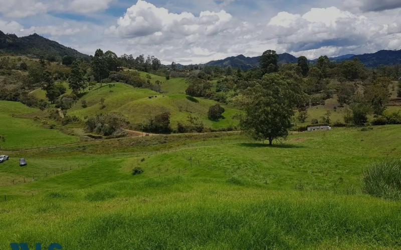 Lote Residencial en Rionegro en V. El Capiro (Rionegro)