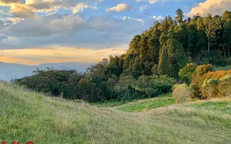 Lote Residencial en Envigado en Alto de las Palmas