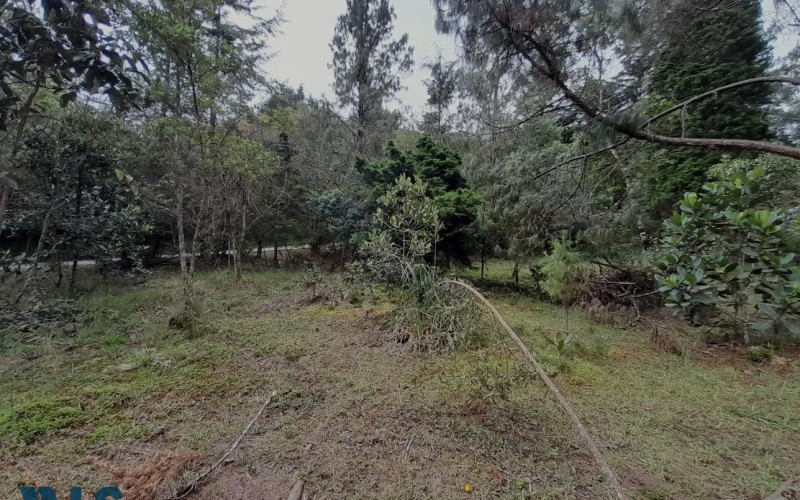 Lote Residencial en El Retiro en Alto del escobero (El Retiro)
