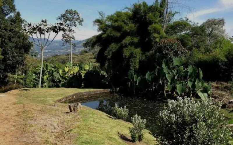 Finca Recreativa en La Ceja en Corredor San Antonio - La Ceja (La Ceja)