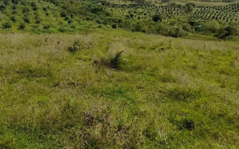 Lote Residencial en Jardin en Quebrada Bonita