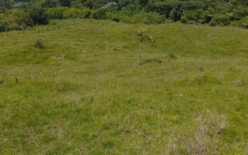 Lote Residencial en Jardin en Quebrada Bonita
