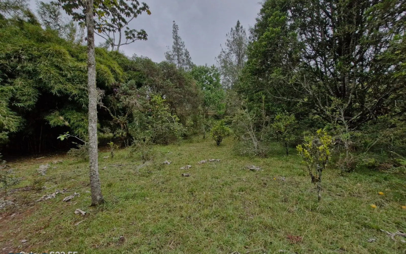 Lote Residencial en El Retiro en Pantanillo