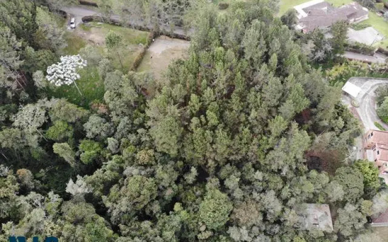 Lote Residencial en Envigado en Alto del escobero (Envigado)