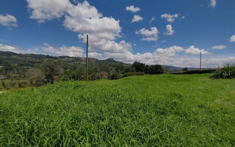 Lote Residencial en Rionegro en vereda Higueron