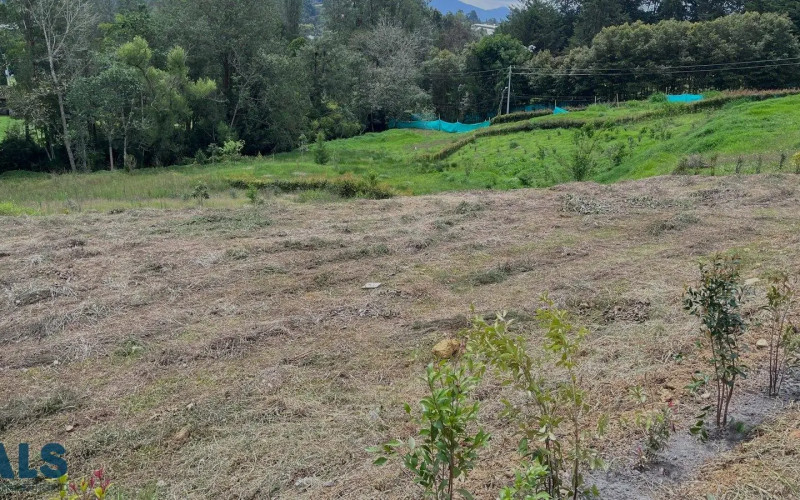 Lote Residencial en Rionegro en vereda Higueron