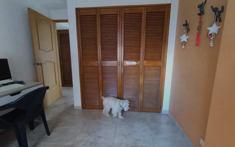 Apartamento en Medellín en Estadio