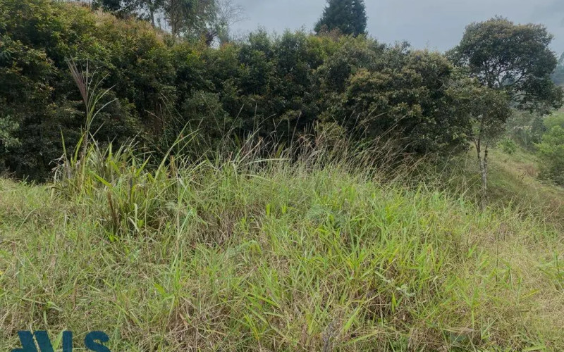 Lote Residencial en Guarne en V. Hojas Anchas