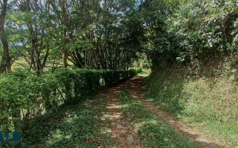 Lote Residencial en Barbosa en V. El Tablazo Popalito