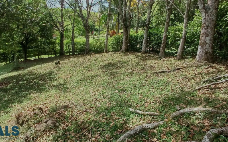 Lote Residencial en Barbosa en V. El Tablazo Popalito