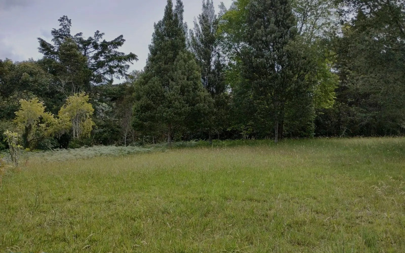 Lote Residencial en El Retiro en Alto de las Palmas (El Retiro)