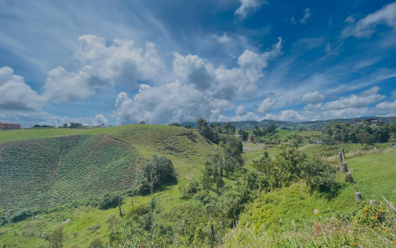 Lote Residencial en San Pedro en Rural