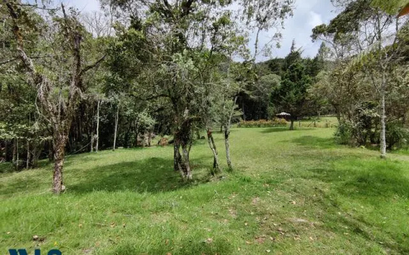 Lote Residencial en Envigado en Alto de las Palmas