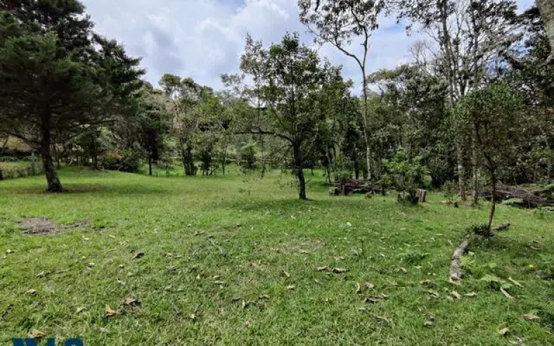 Lote Residencial en Envigado en Alto de las Palmas