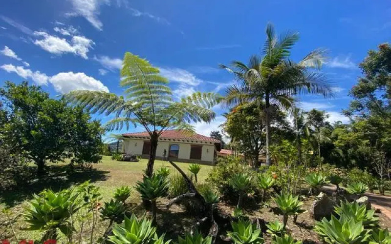 Casa en Rionegro en V. Pontezuela