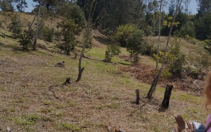 Lote Residencial en Rionegro en La Porquera