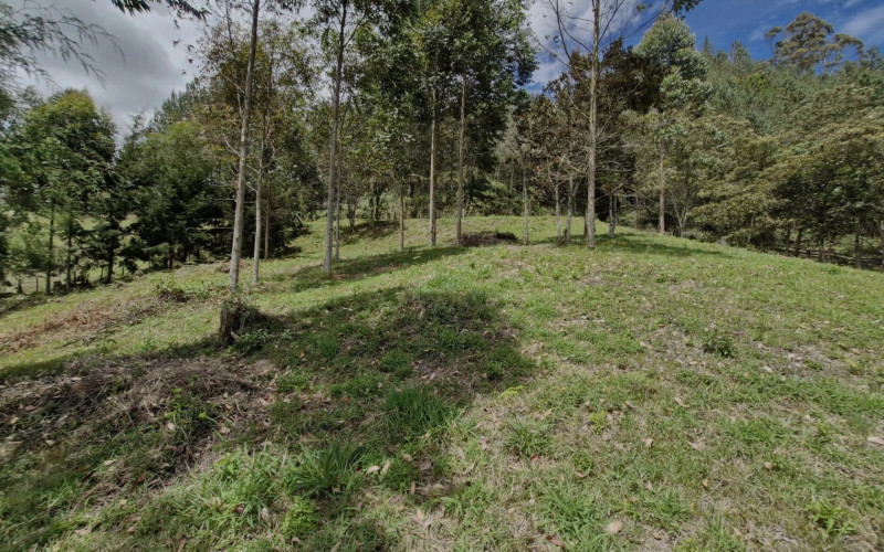 Lote Residencial en Rionegro en vereda Higueron