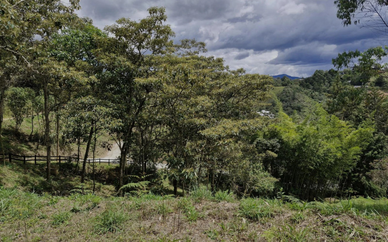 Lote Residencial en Rionegro en vereda Higueron