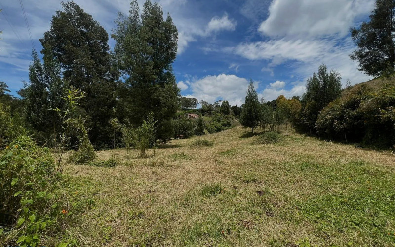 Lote Residencial en San Pedro de los Milagros en Urbano