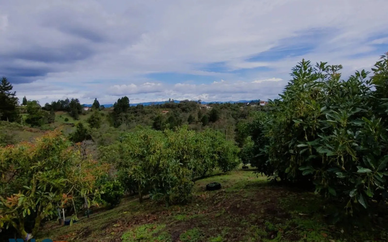 Finca Recreativa en Rionegro en V. Mampuesto