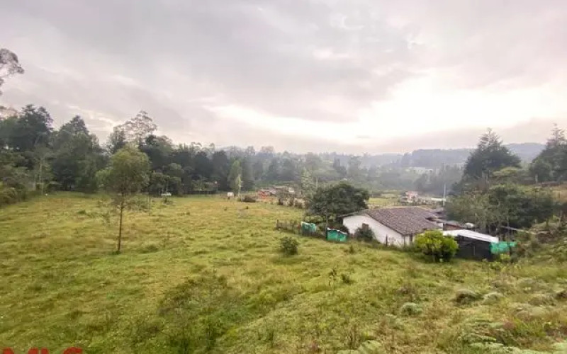 Lote Residencial en Guarne en Autopista (Guarne)