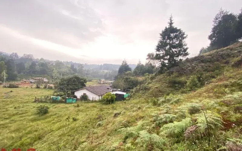 Lote Residencial en Guarne en Autopista (Guarne)