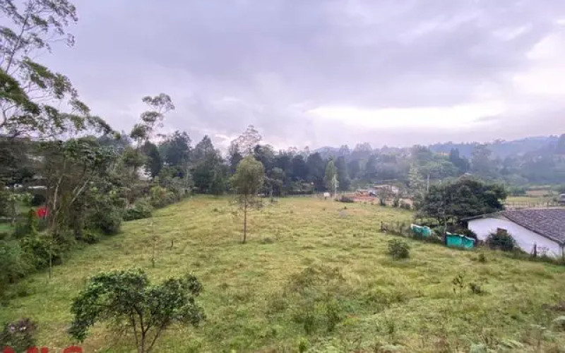 Lote Residencial en Guarne en Autopista (Guarne)