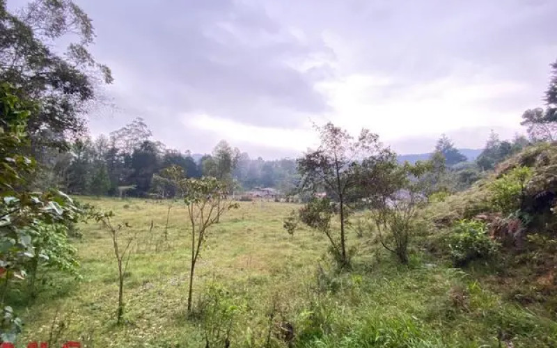 Lote Residencial en Guarne en Autopista (Guarne)