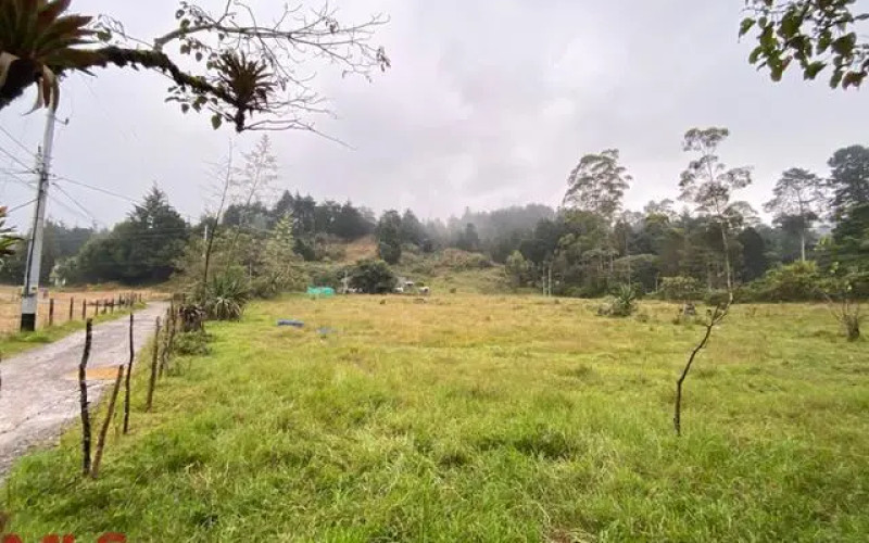 Lote Residencial en Guarne en Autopista (Guarne)