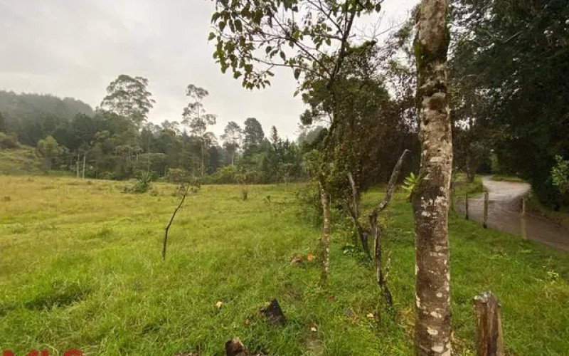 Lote Residencial en Guarne en Autopista (Guarne)