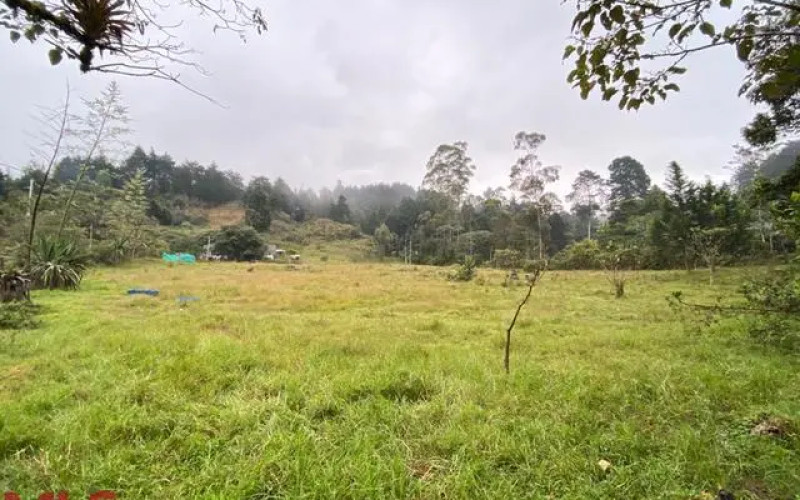 Lote Residencial en Guarne en Autopista (Guarne)