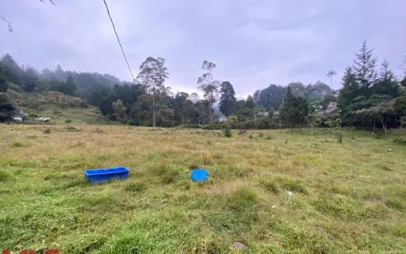 Lote Residencial en Guarne en Autopista (Guarne)
