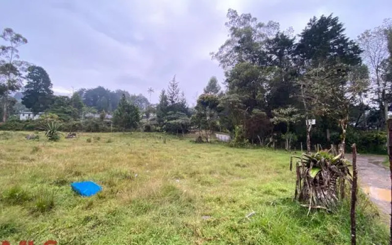 Lote Residencial en Guarne en Autopista (Guarne)