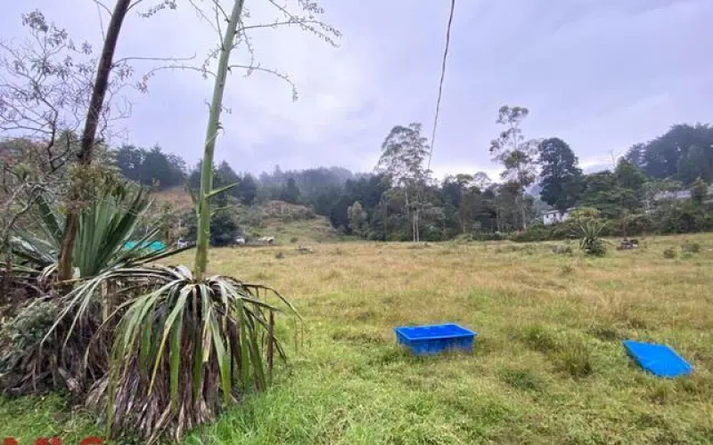 Lote Residencial en Guarne en Autopista (Guarne)