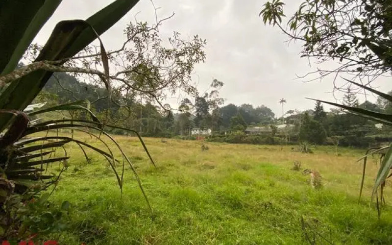 Lote Residencial en Guarne en Autopista (Guarne)