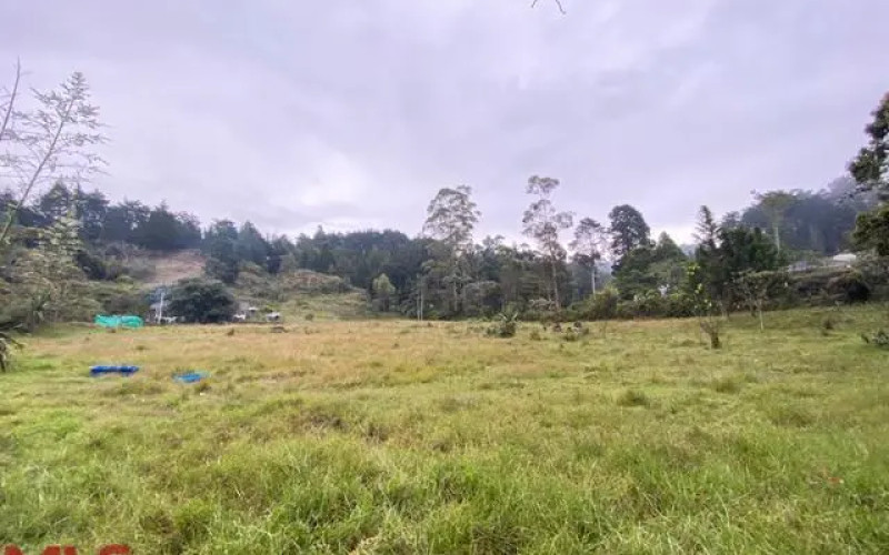 Lote Residencial en Guarne en Autopista (Guarne)