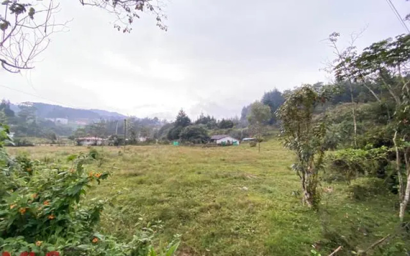 Lote Residencial en Guarne en Autopista (Guarne)