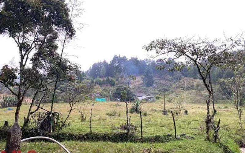 Lote Residencial en Guarne en Autopista (Guarne)